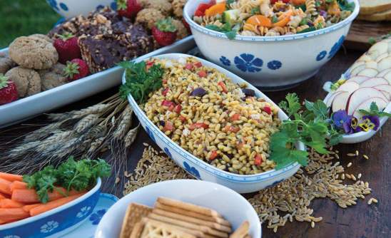 gorgeous-kamut-array-2